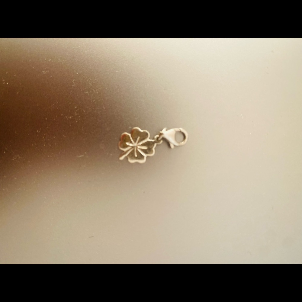 925 silver Lucky 🍀 Charm